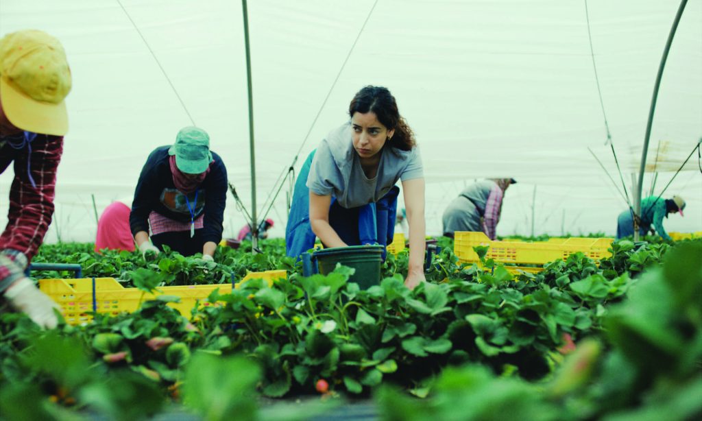 Photogramme du film Les Fraises